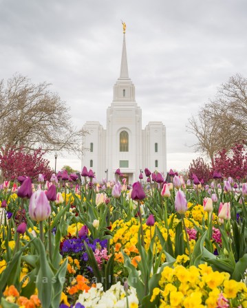 Springtime Flowers at the Brigham City Temple